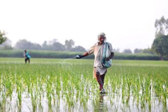 రైతులకు సహాయం చేయడానికి చేయడానికి ఏపీ 2.0 .. సలహాలు, సూచనలతో సూచనలతో ఎస్ఎంఎస్‌లు!