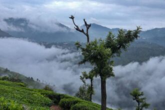 హైదరాబాద్ టూ ఊటీ ఐఆర్‌సీటీసీ ఐఆర్‌సీటీసీ టూర్ ప్యాకేజీ .. బడ్జెట్ ధరలో ఫుల్లుగా చిల్ చిల్ అవ్వొచ్చు!