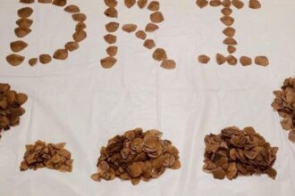 హన్మకొండలో dri అధికారుల ఆపరేషన్ ..! భారతీయ పాంగోలిన్ స్కేల్స్‌ స్వాధీనం, నలుగురు నలుగురు అరెస్ట్