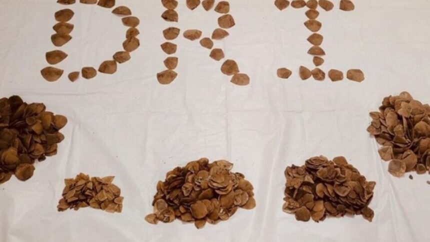 హన్మకొండలో dri అధికారుల ఆపరేషన్ ..! భారతీయ పాంగోలిన్ స్కేల్స్‌ స్వాధీనం, నలుగురు నలుగురు అరెస్ట్